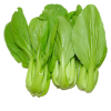 Cải thìa hữu cơ