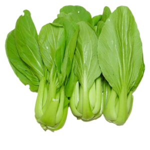 Cải thìa hữu cơ