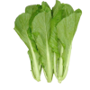 Cải xanh