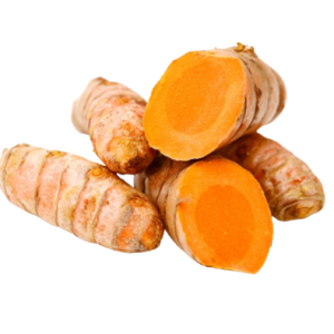 Củ nghệ tươi